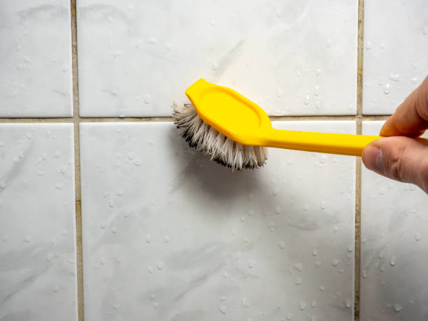 Best Same-Day Mold Removal  in Jacksonvle, IL