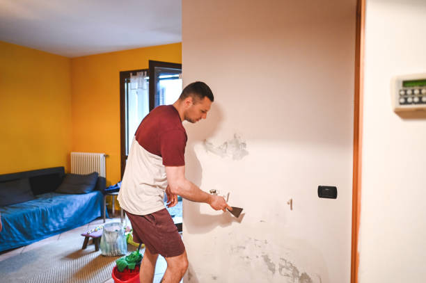 Best Office Mold Removal Services  in Jacksonvle, IL